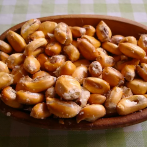cancha peruana brazas sabor fort myers